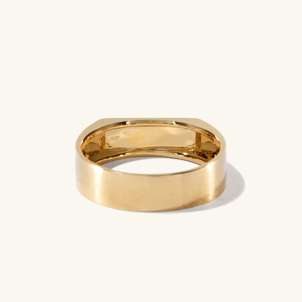 Mejuri Slim Rectangular Signet Ring - Brushed Gold