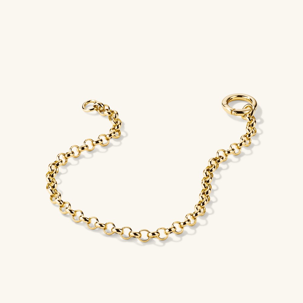 Mejuri Rolo Chain Charm Bracelet - 14k Yellow Gold