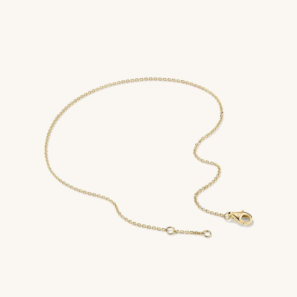 Mejuri Chain Anklet - 14k Yellow Gold